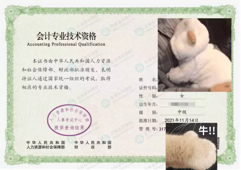 财政局喊你领中级会计证书啦！多地明确证书满5年未领取将被销毁