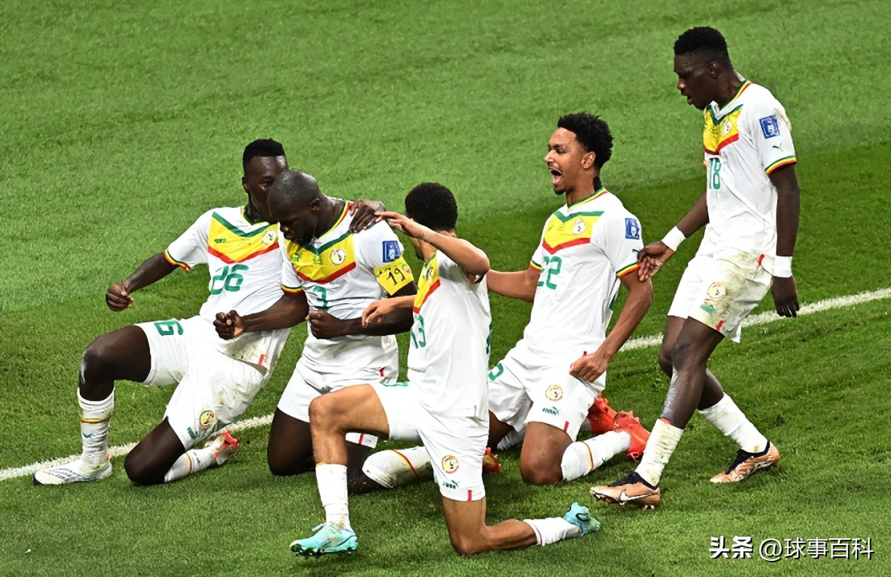 世界杯人物志：31岁的塞内加尔队长 差点成为法国国脚