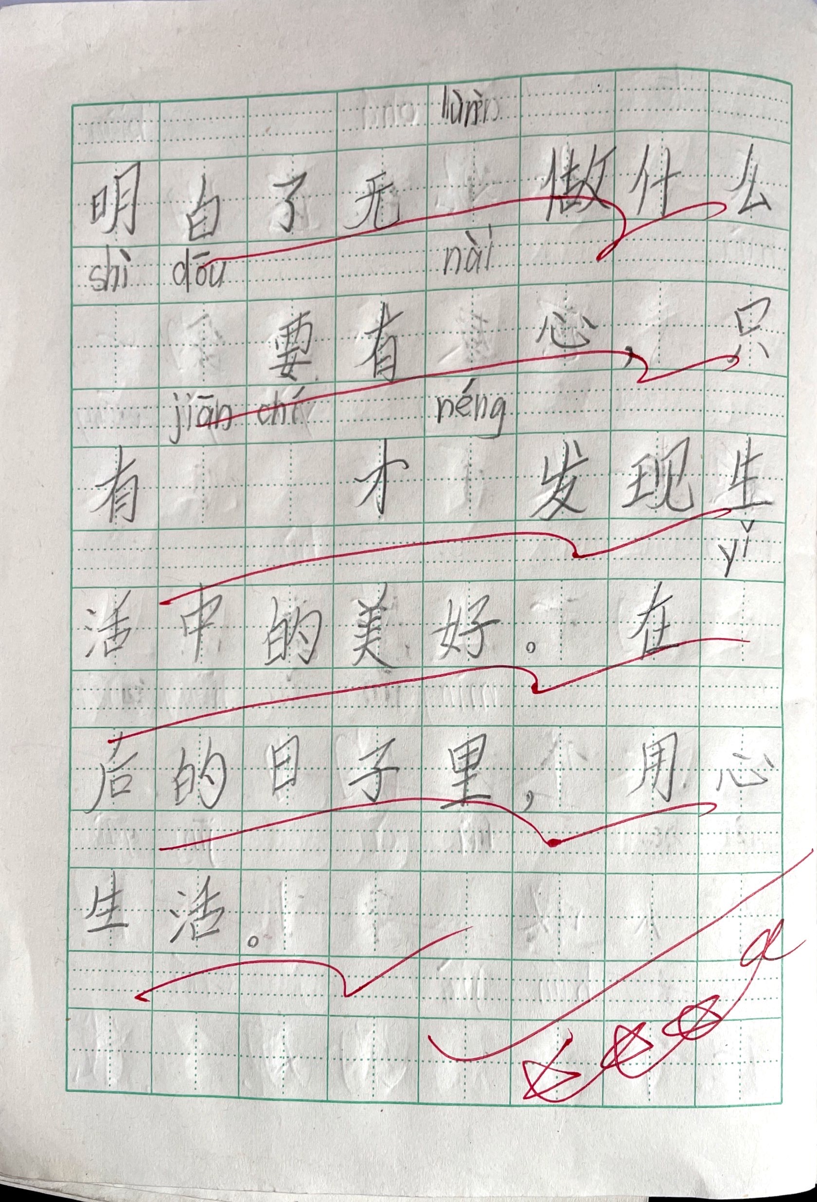 植物生长观察日记（2）