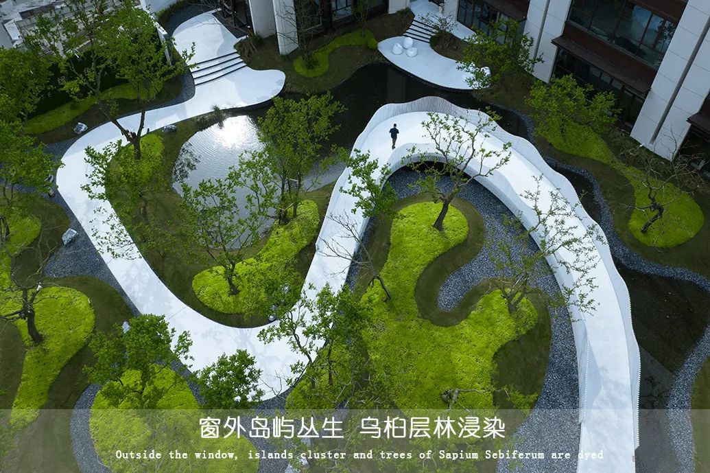 用心的植物搭配，超级美