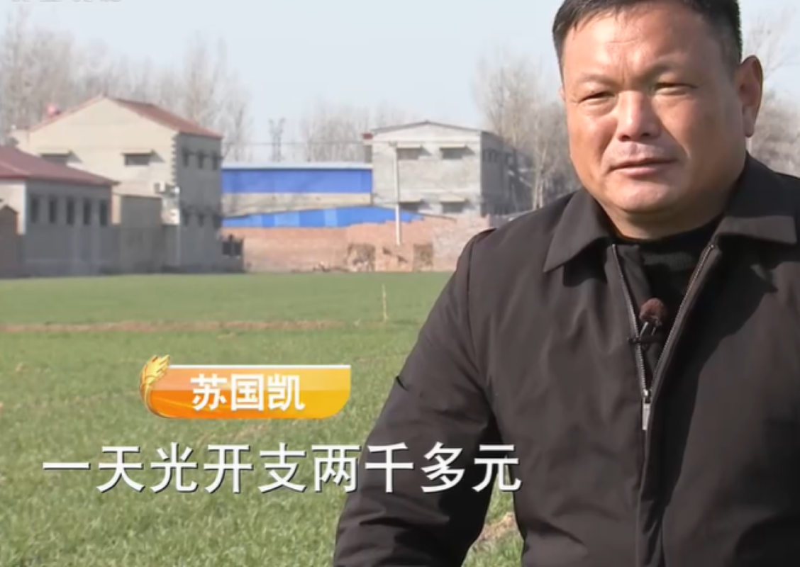 2013年，大哥用10万块创业养公牛，靠着317口大缸，年入2600万