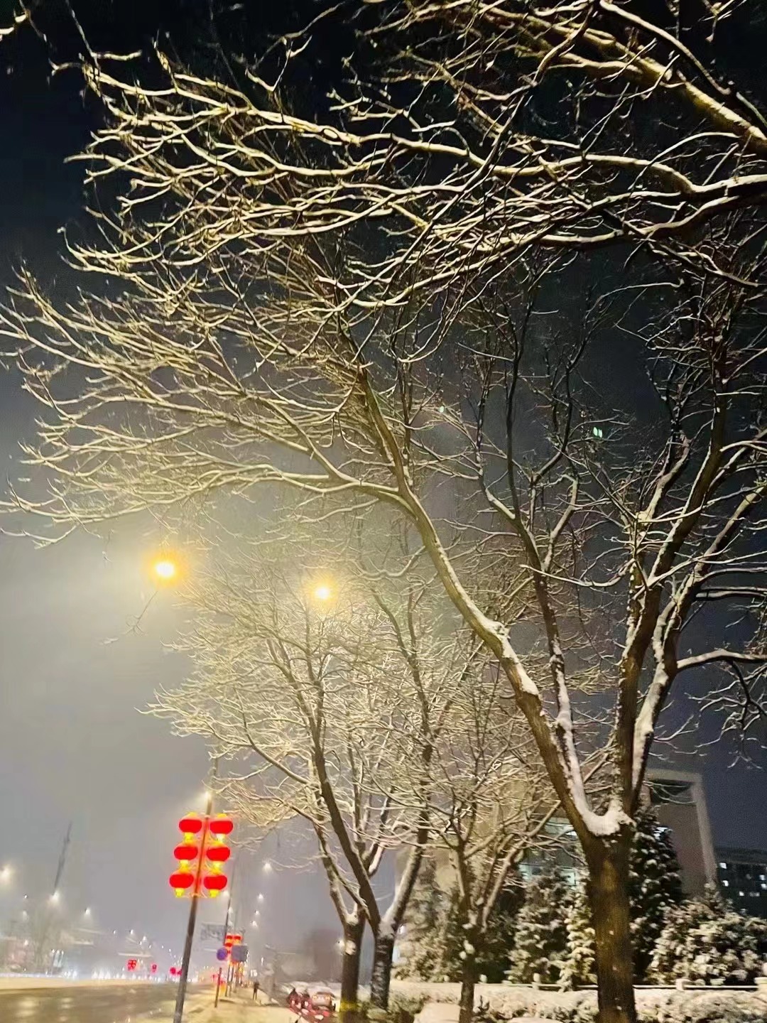 专属于春雪的浪漫，当三月的北京遇见飘雪，有种转瞬即逝的美
