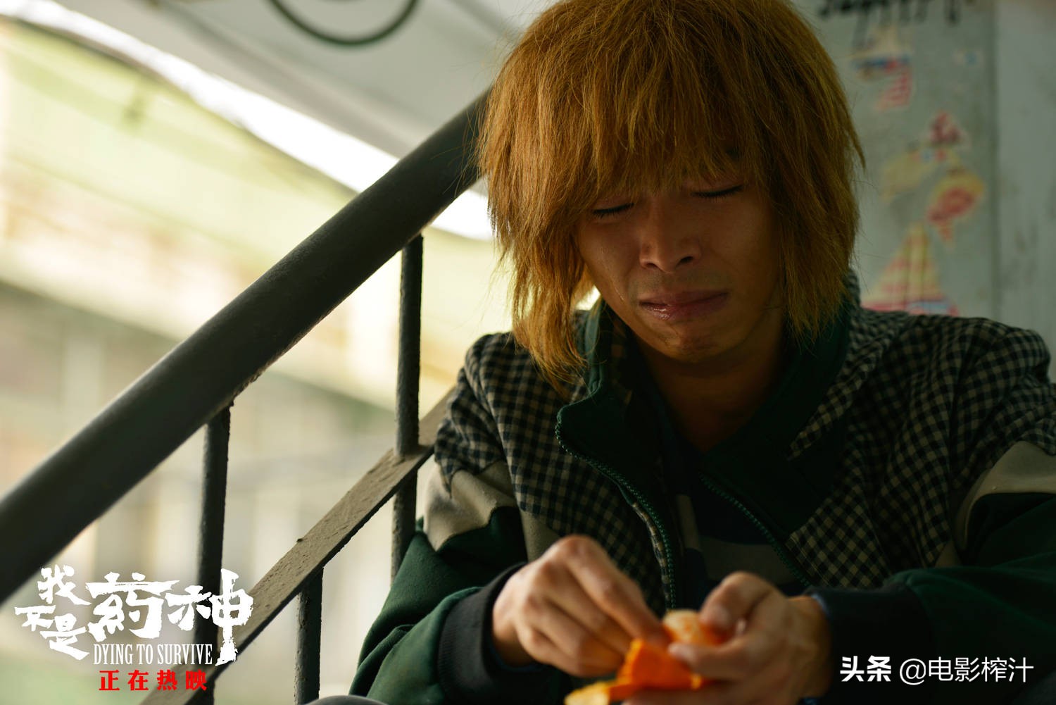 赵今麦漫改电影《一周的朋友》，比原作差在哪？比日版好在哪？