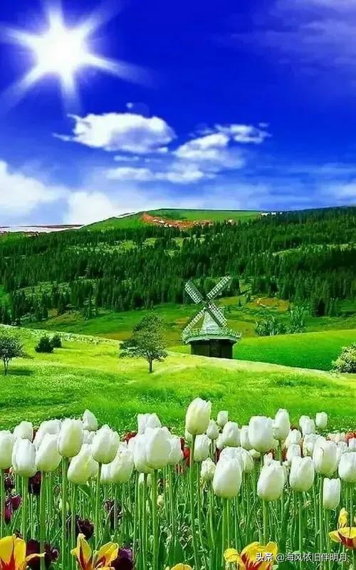关于唯美风景的说说心情配图「经典」 _qq说说网