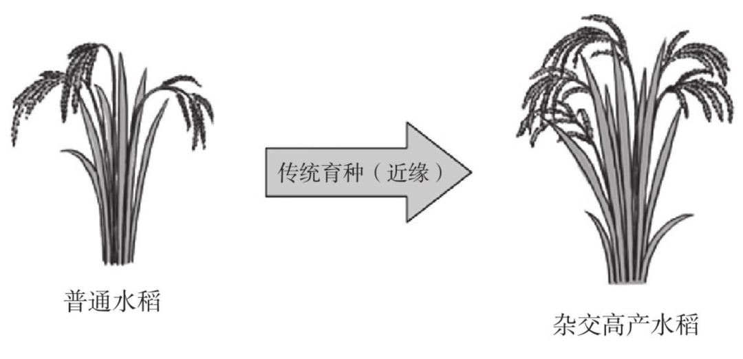 ʲôӽˮʲôӽˮĹң