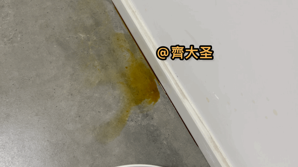拖地哪家强？四款热销扫拖机器人实测（石头/云鲸/360/科沃斯）