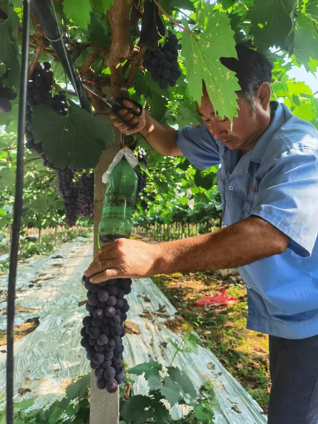 不老男神李亚鹏