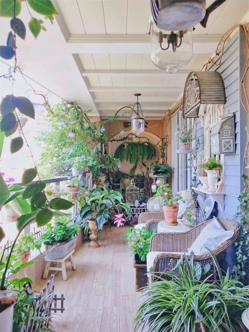 阳台花园，在这个面积不大的地方造梦，美了岁月，醉了时光