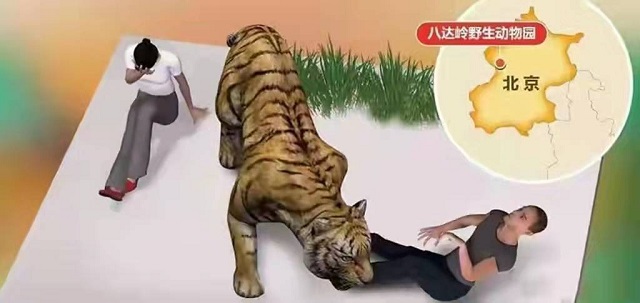 2016年八达岭老虎咬人案：母亲虎口救女儿身亡，女儿因毁容无工作