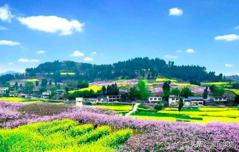 1650亿乡村振兴补助资金，优先支持“联农带农富农”项目？咋争取