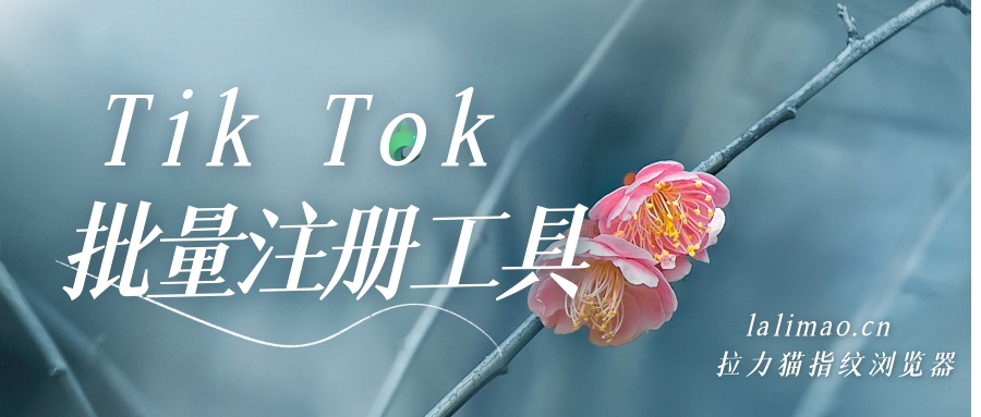 批量注册账号（tiktok批量注册账号时显示访问频繁怎么办）