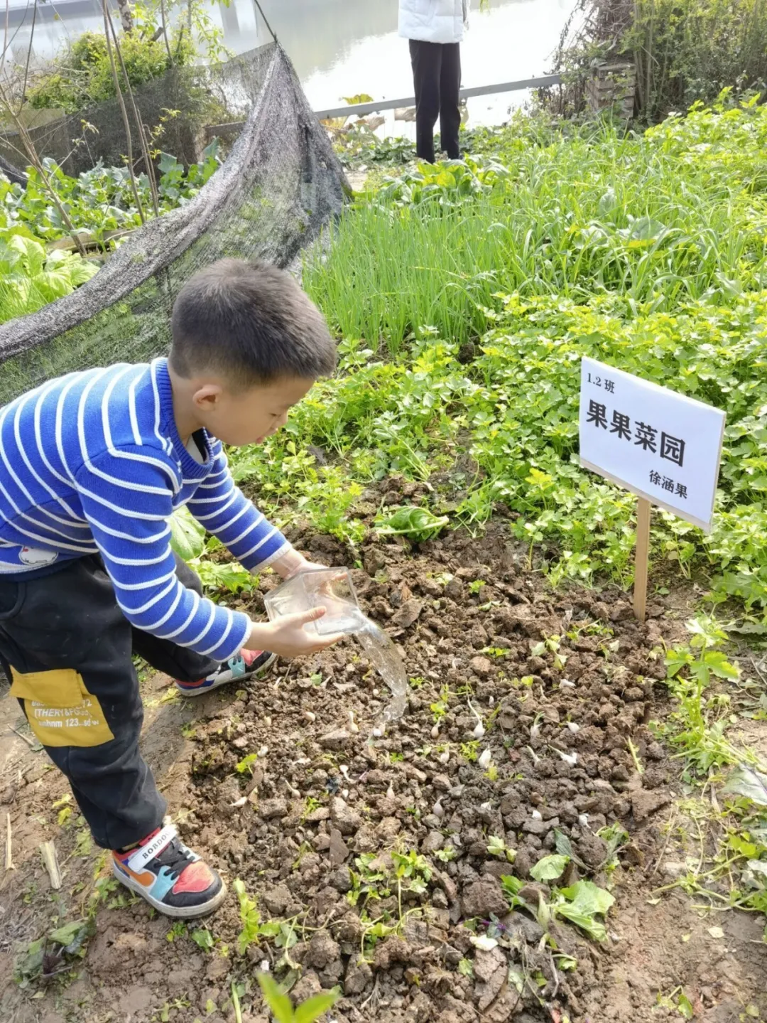 上好每一节劳动课——四川天府新区新兴小学开展劳动教育课程