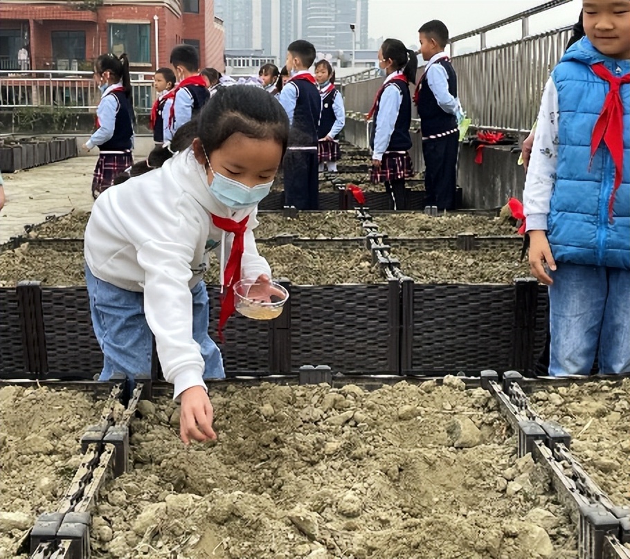 中和小学参加区教育发展中心综合实践教学设计比赛并喜获一等奖