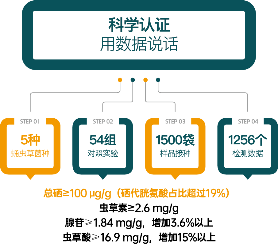 暨创硒源纳米硒栽培高腺苷富硒蛹虫草 助创行业新风口