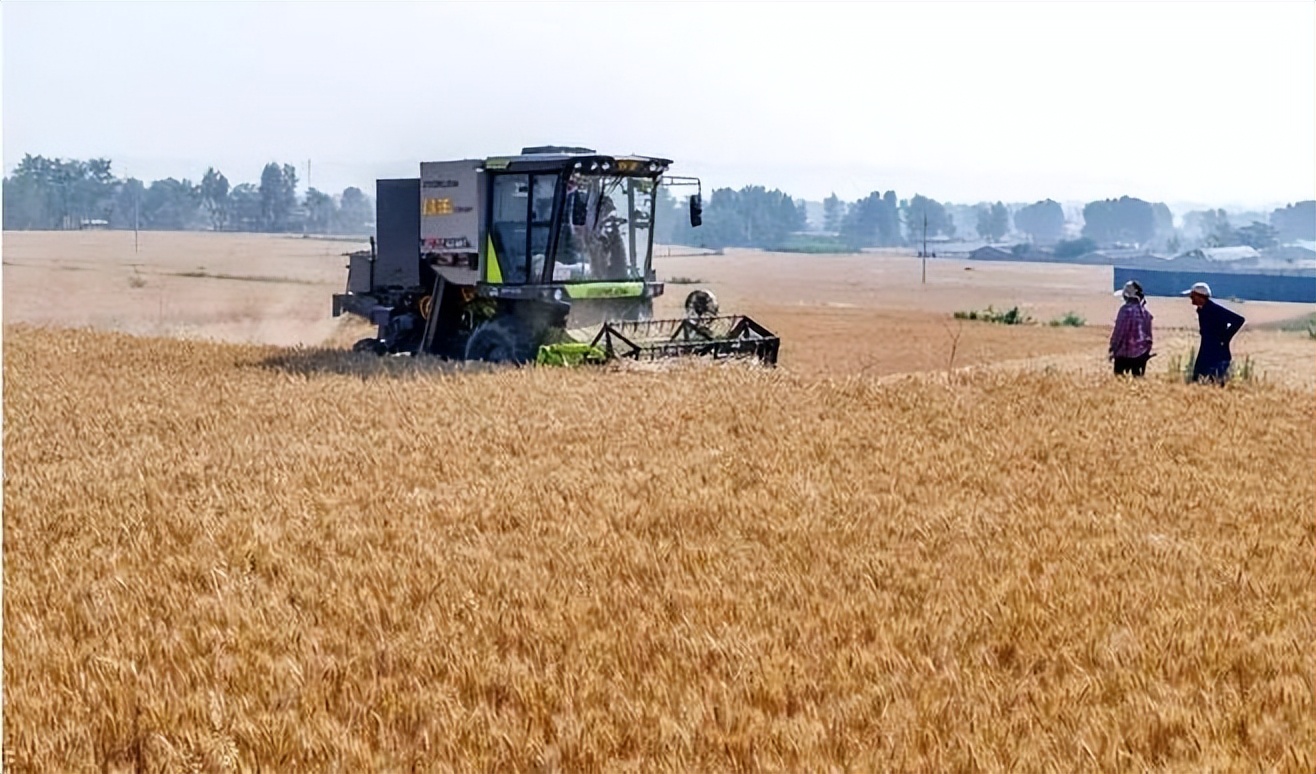 种粮农民：提高小麦、水稻保护价，还有2个好消息