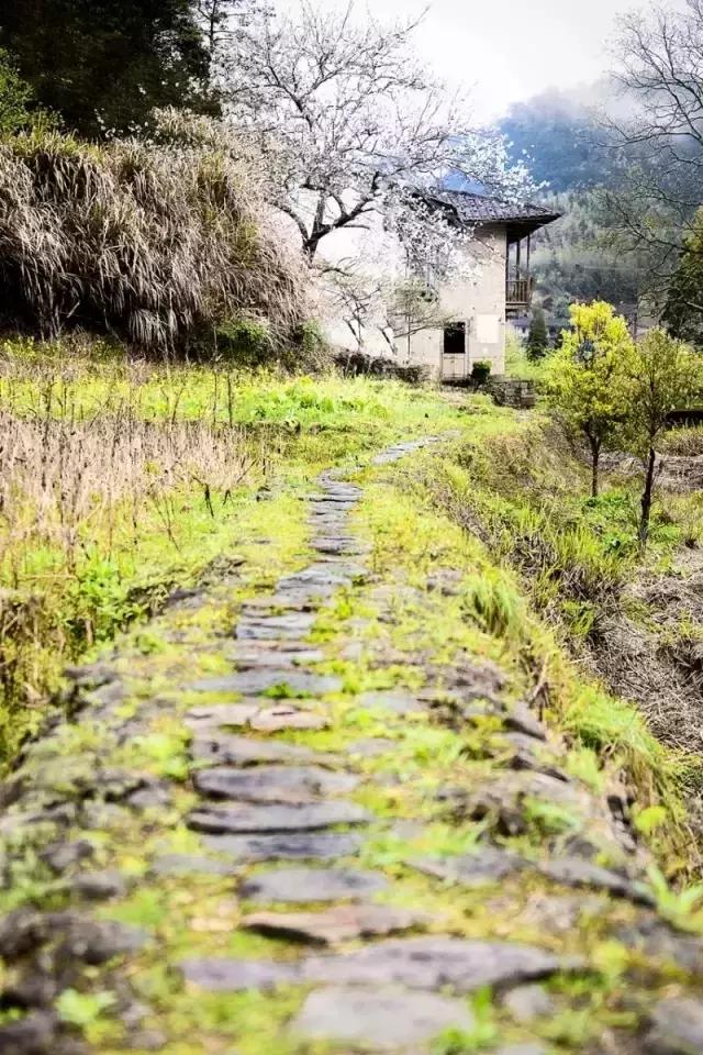 永泰旅游景点（永泰旅游景点推荐）-第24张图片-科灵网