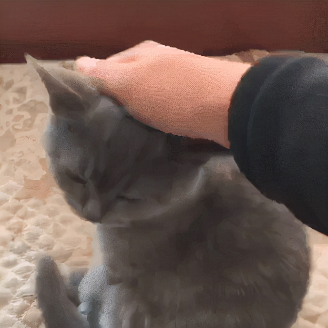 以上就是,我对猫咪被摸头的时候的想法猜测了.