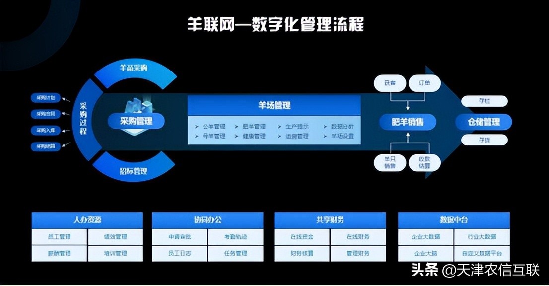 赛诺羊业+羊联网 用数智助力种羊产业转型升级