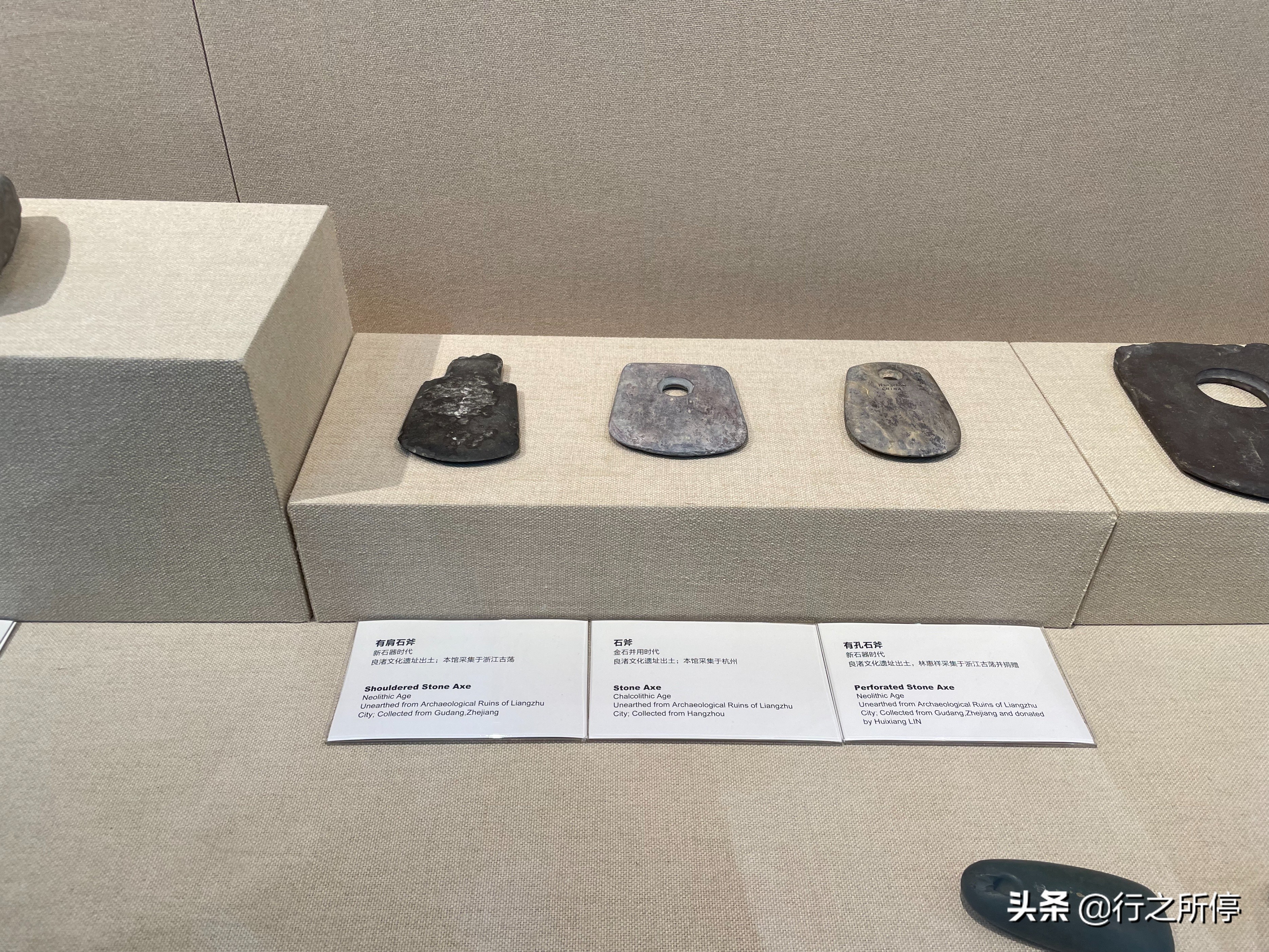 “中国最美大学”厦门大学博物馆开门了？还有惊喜的夜游活动