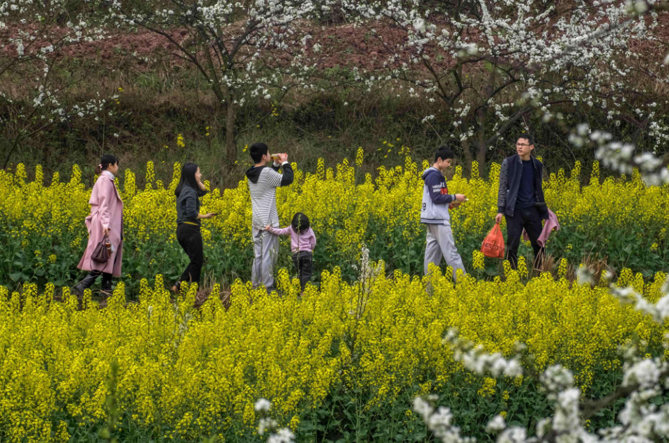 2022年春季学期，学生有望新增6天小长假，老师们也能跟着享福