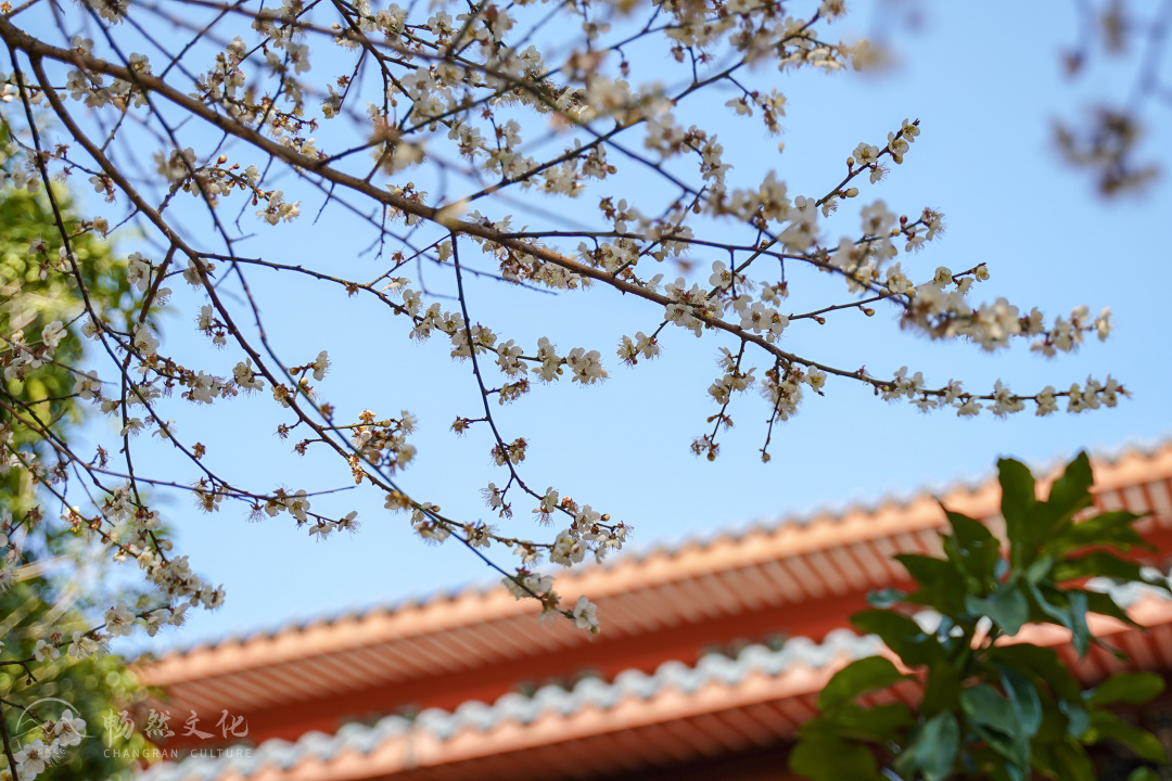 福州旗山万佛寺（福州旗山万佛寺图片）-第41张图片-科灵网