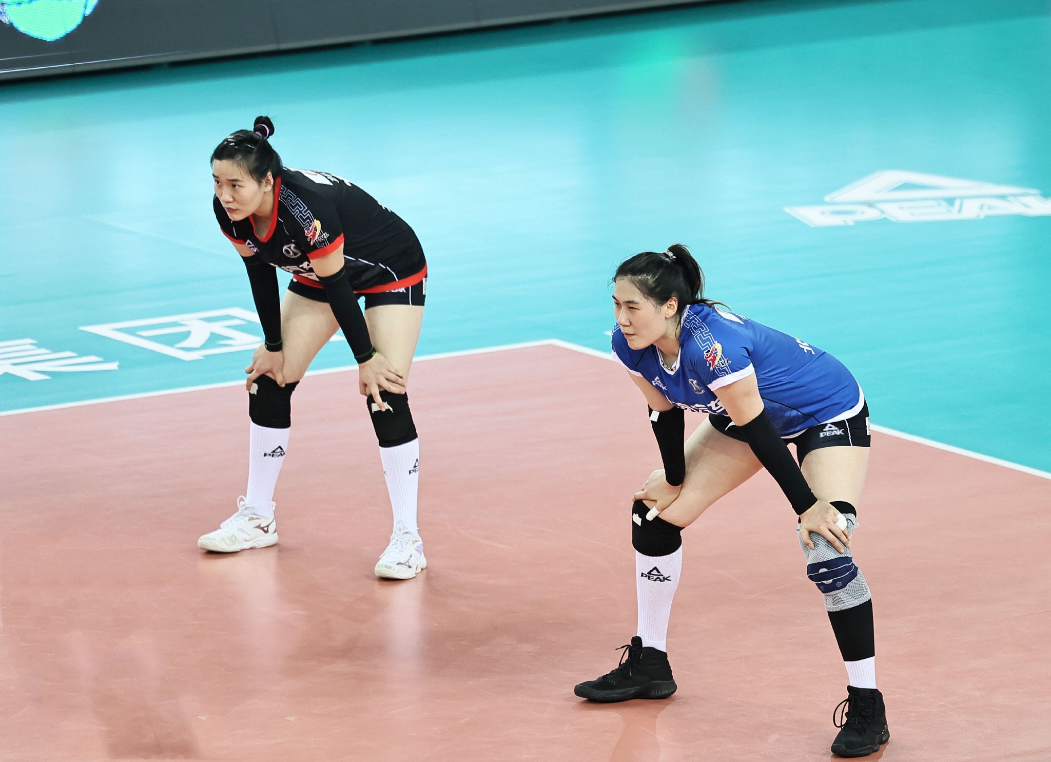 江苏女排胜北京女排取得赛季首胜（最新战报！江苏女排四连杀辽宁率先晋级！北京险胜山东扳平总比分）