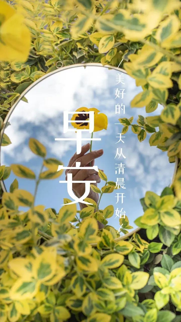 早安励志语录｜迎接新的一天