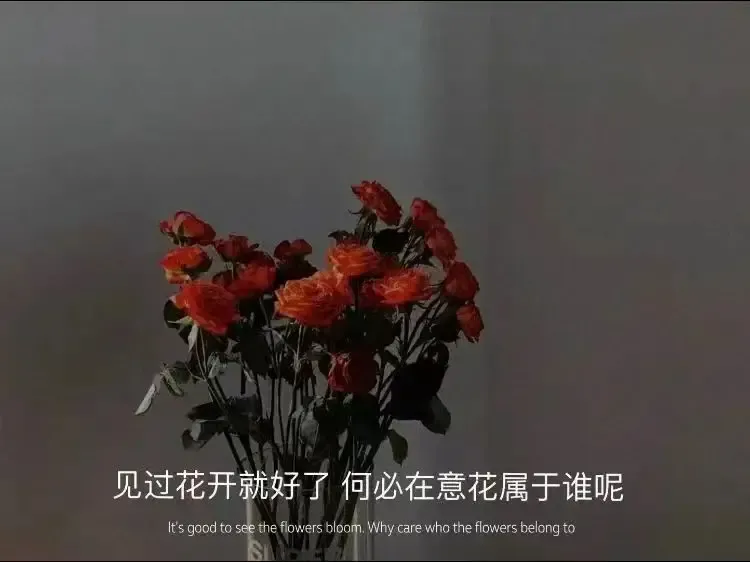 怎樣才算情深（“怎樣才算深情，挫骨揚(yáng)灰還是萬(wàn)劫不復(fù)”）