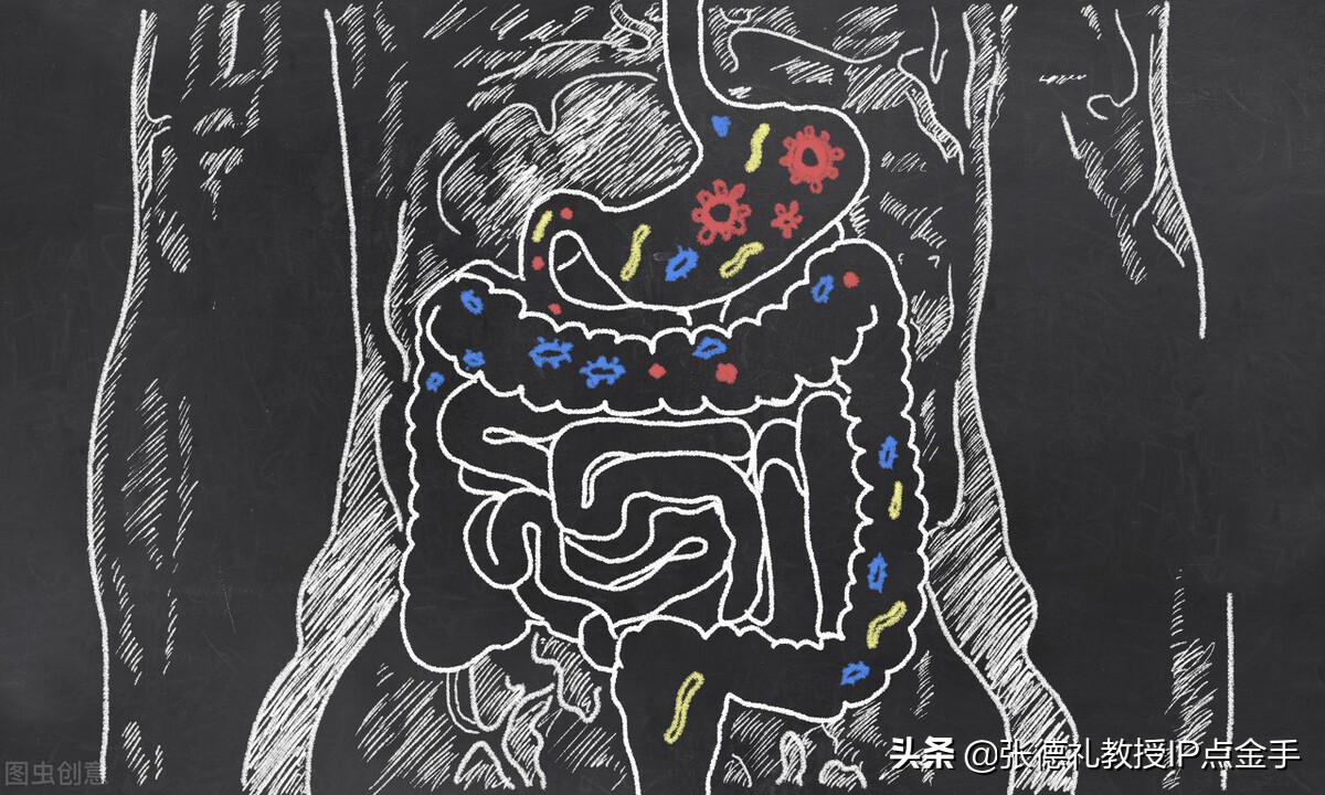 诸平：科学家绘制了单细胞分辨率下完整的人肠道细胞图谱（转载）