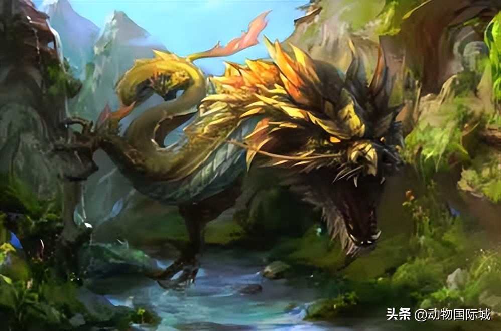 蛇进化(hua)为龙的七个阶段（中国最吓人的一条巨蛇）