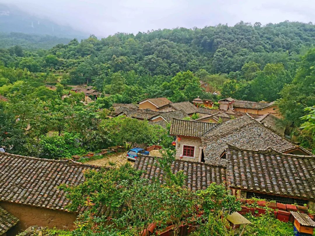 快乐不打烊！宜昌这些地方景美人少还免费！