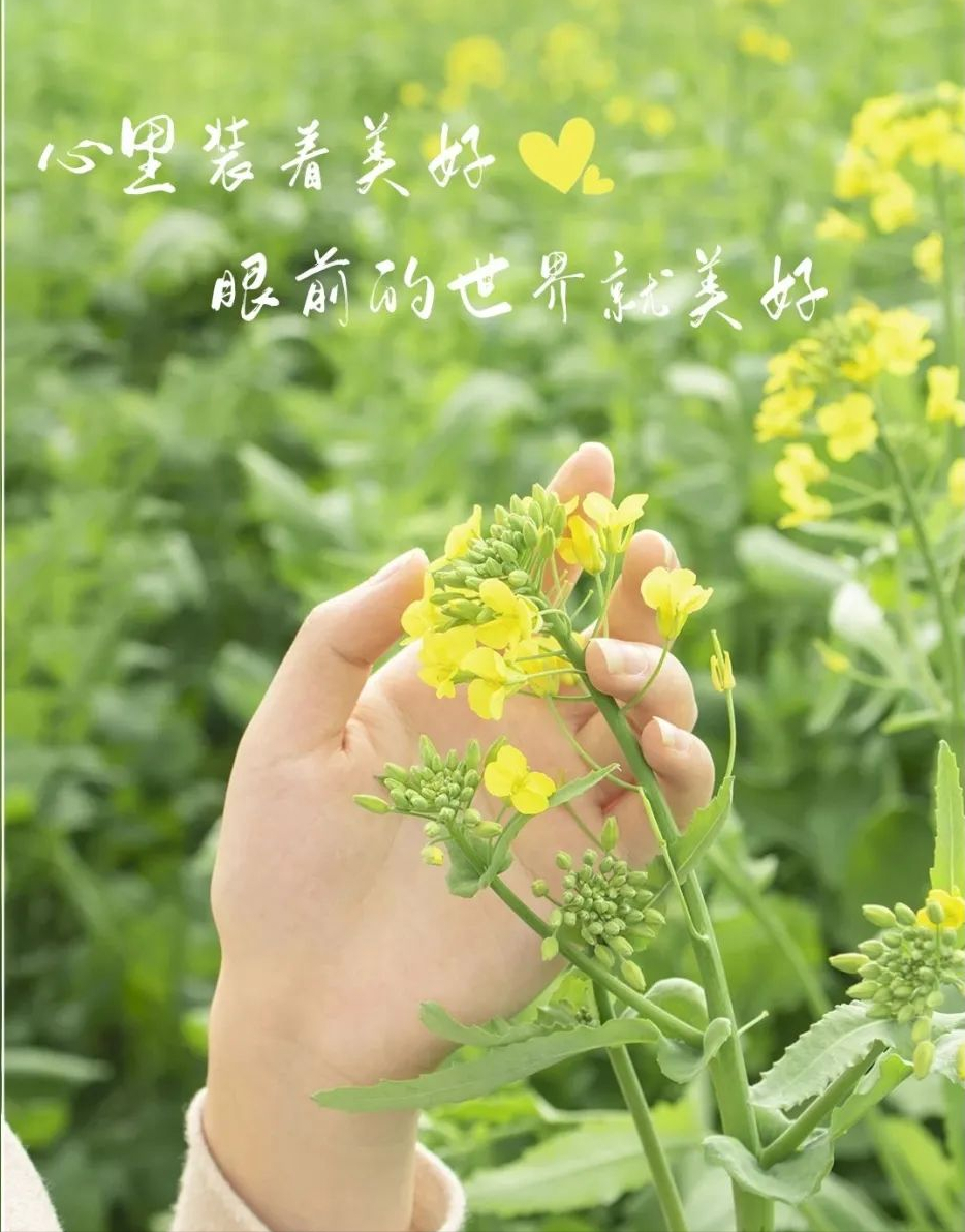 2022早安最火图片 自然风景早上好图片带字图片