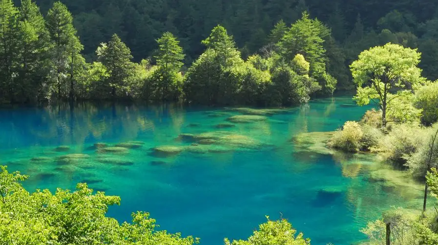 九寨沟风景区「九寨沟风景区图片」 - 业奇网
