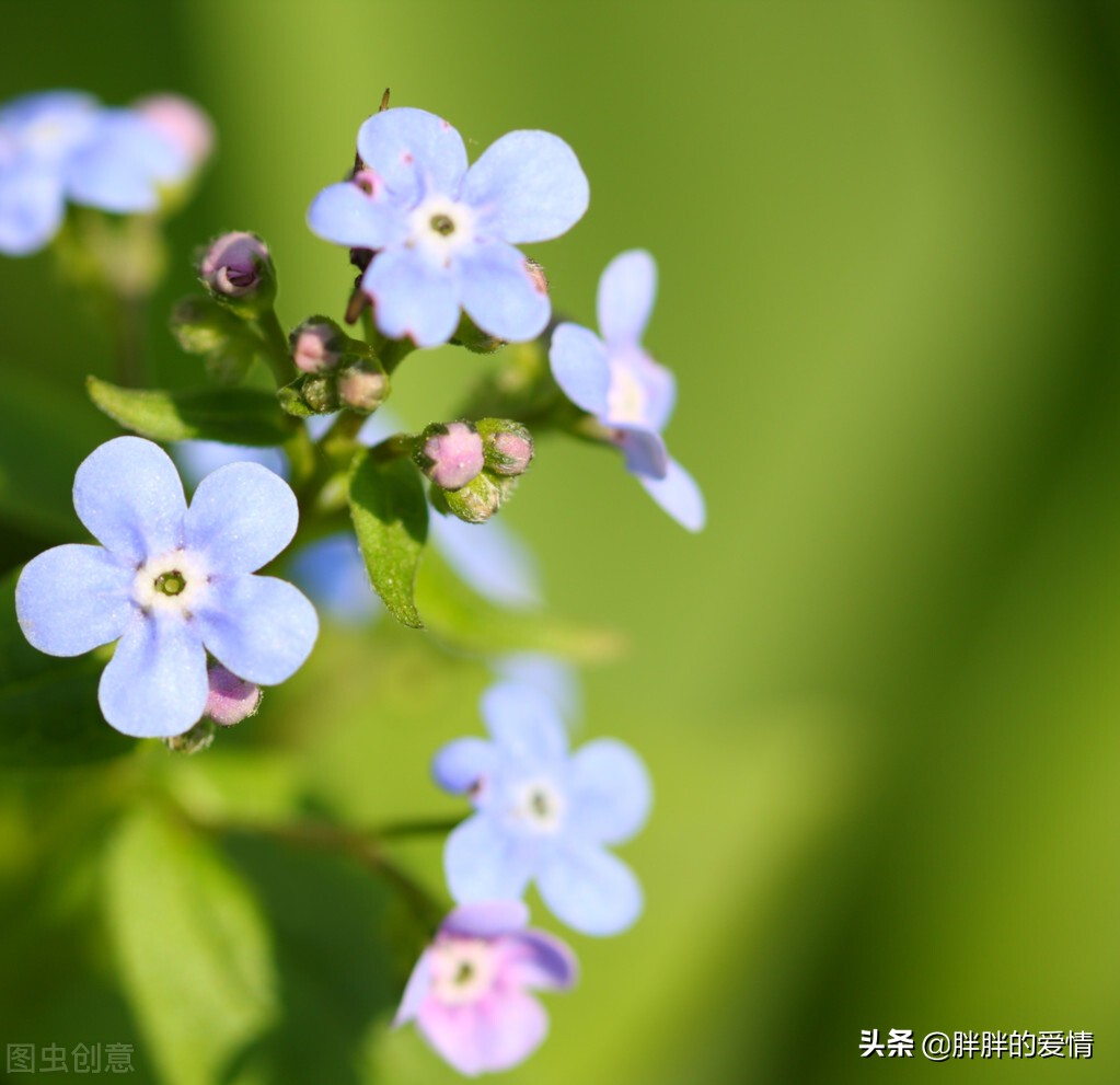 以梦为马，驰骋岁月；静心，才不浮躁；尽力，才不后悔