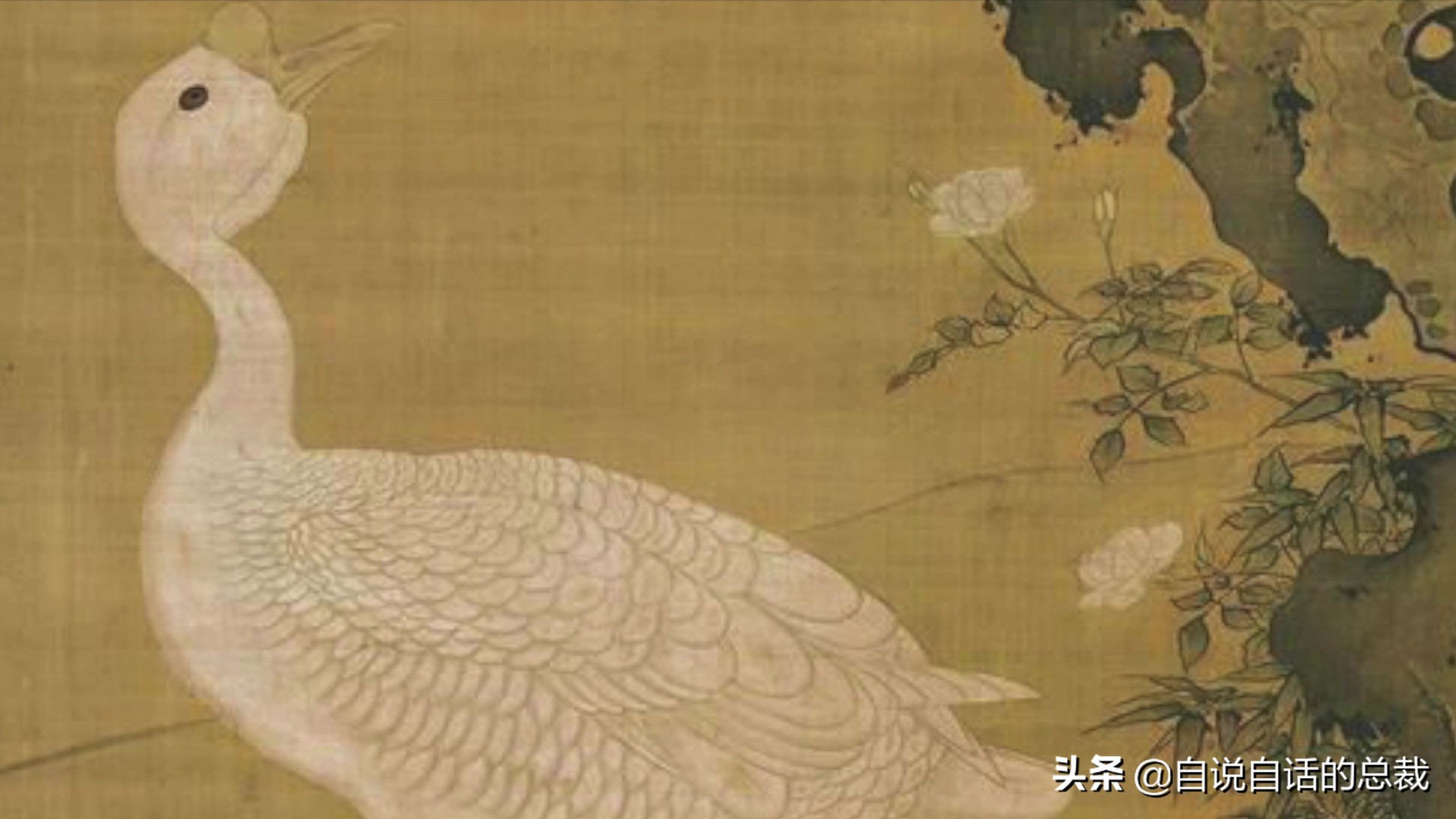 为什么动物都怕鹅？有鹅的地方没有蛇？大鹅的真实面貌超出你想象