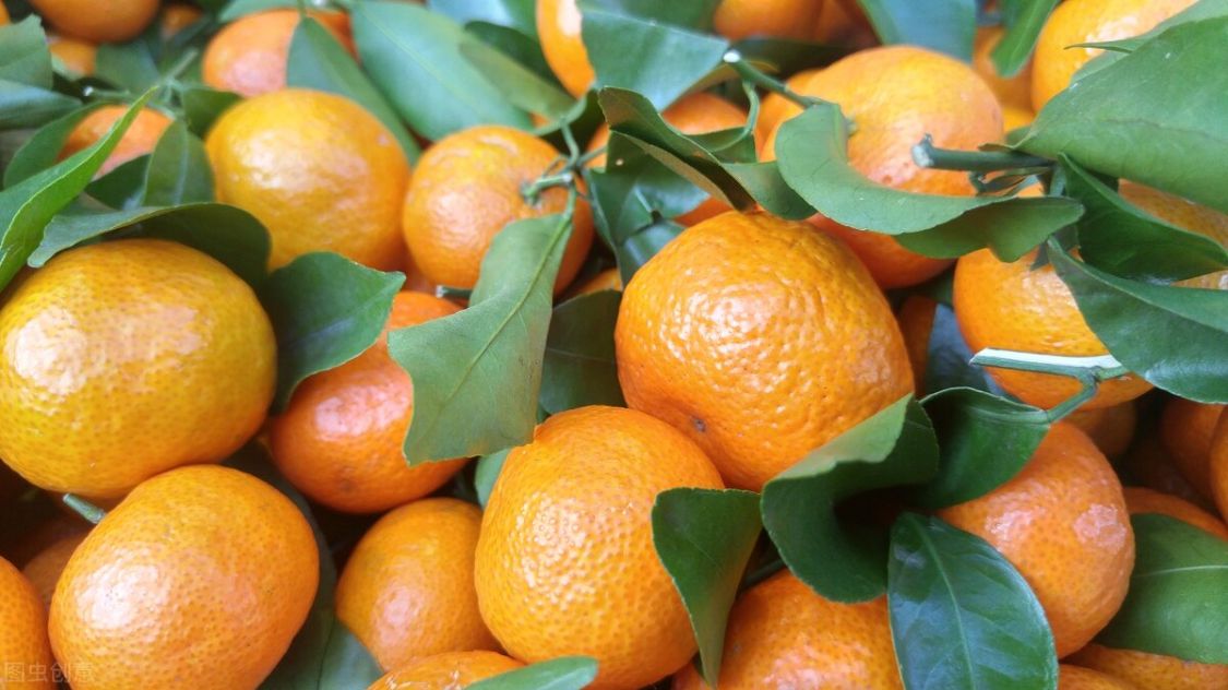 不是所有的小橘子都是“砂糖桔”，教你几招区别，买的时候多留心