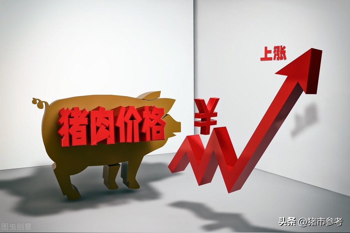 8月6日河南猪价：主流价格在21元/公斤，猪价上涨得挺费劲