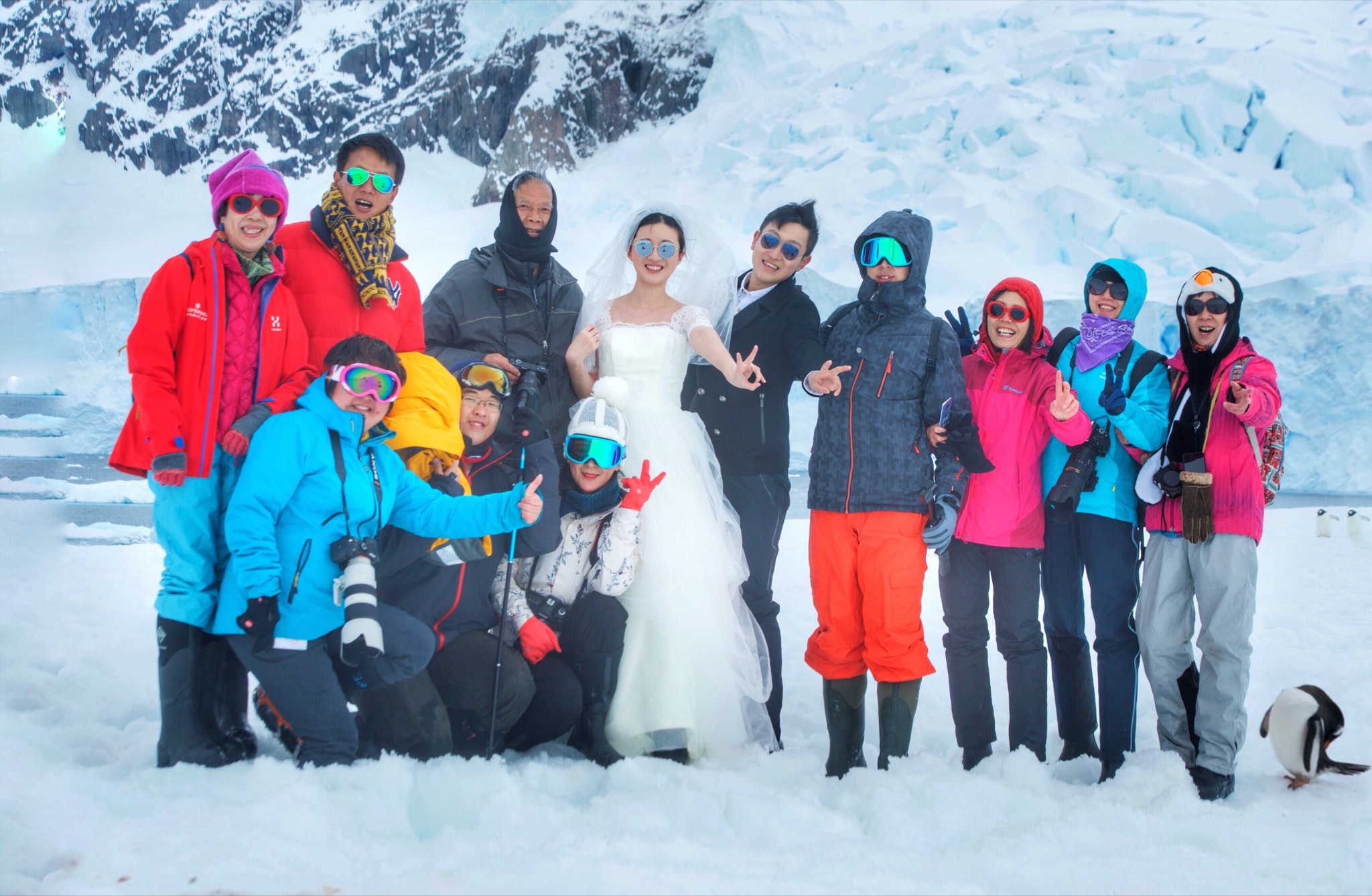 在南极结婚（去南极结婚的夫妻）