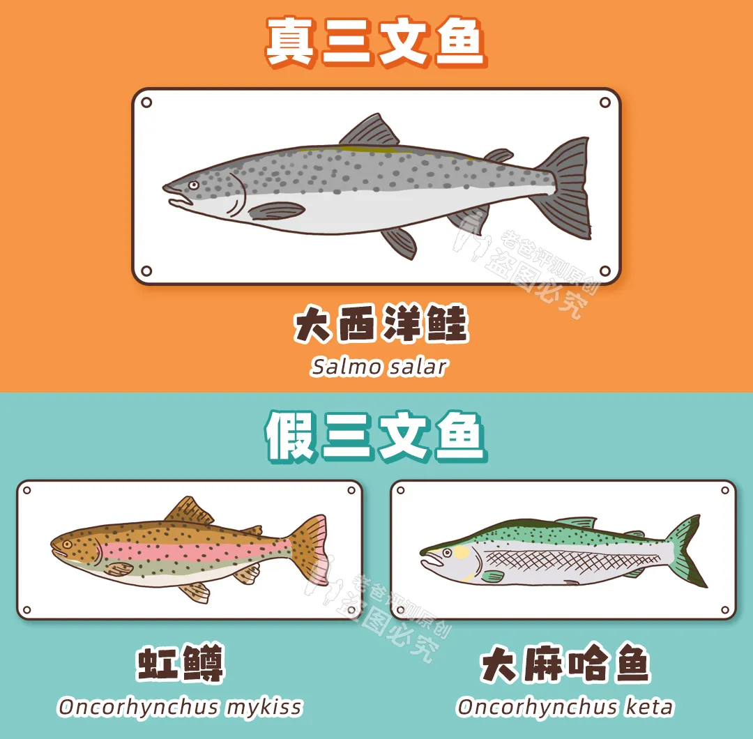 打着“专为宝宝设计”,却用冒牌三文鱼?26款鱼检测来了