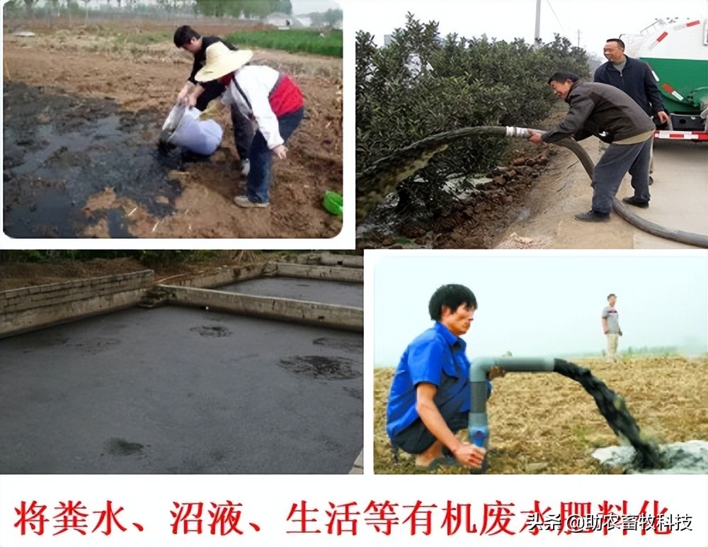 农产品加工与养殖产生的粪水、沼液、生活等废水快速除臭发酵技术