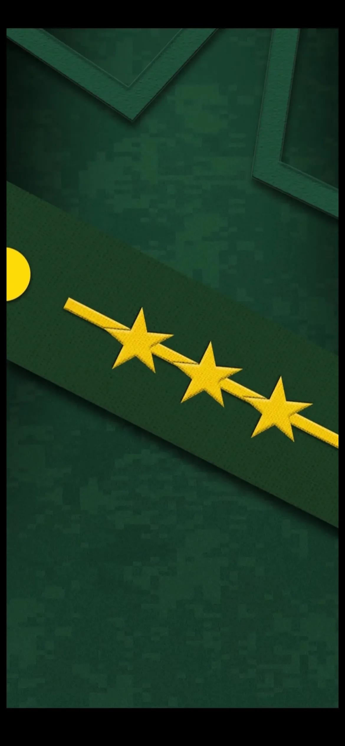 要高清的谢谢大家(手机壁纸|人民武警军衔等级肩章系列全套手机壁纸)