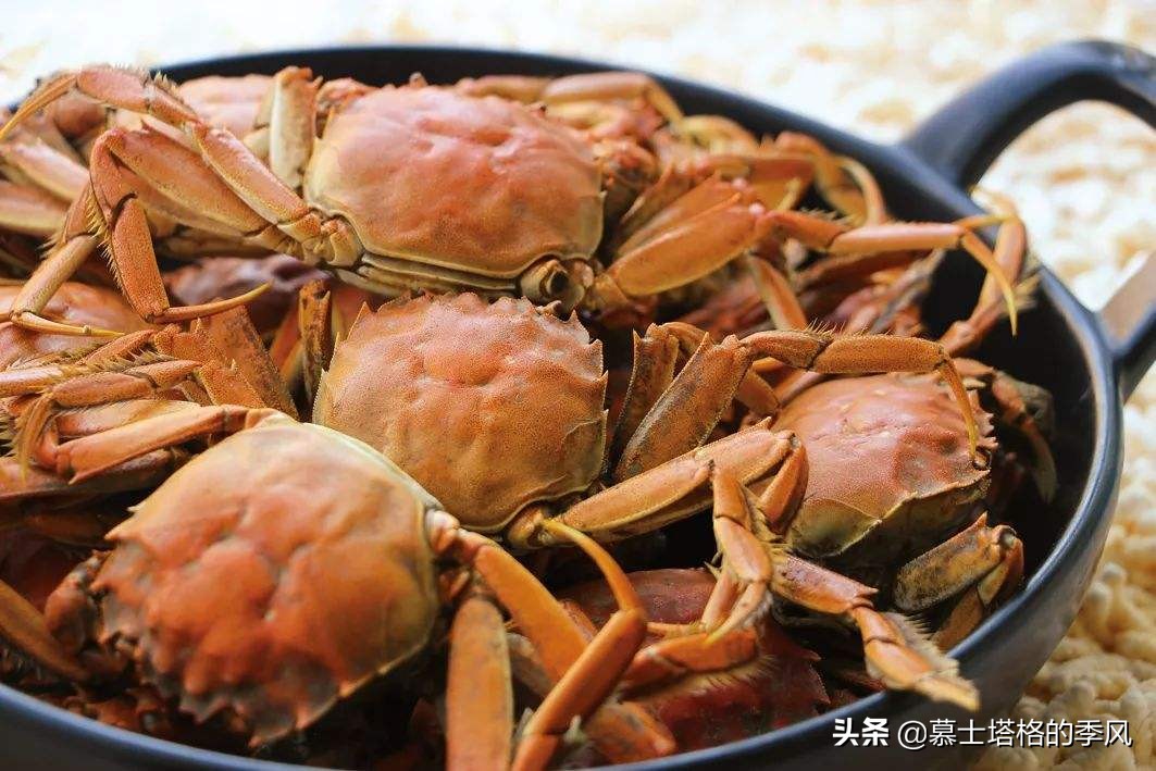 辽宁，一个被低估的海鲜大省，美食家的天堂