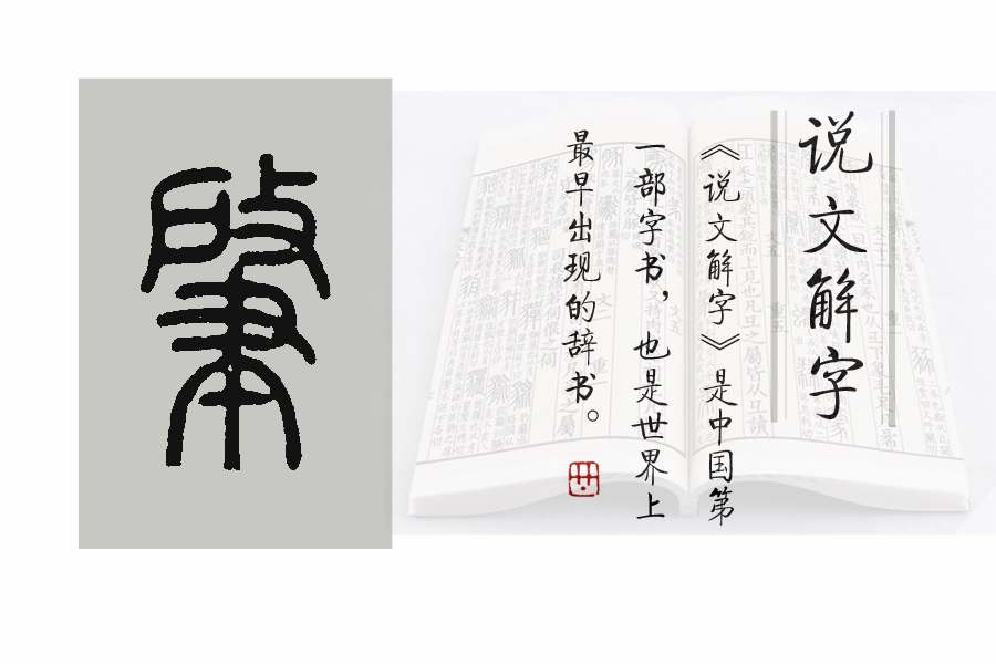 肇怎么读（《说文解字》第589课：细说“肇”字，“肇事”的“肇”什么意思）