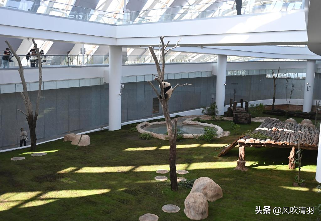 不能进世界杯的国家（卡塔尔世界杯被抵制？中国队没参加，却在背后“踢爆”了）