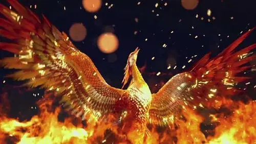 神鸟凤凰真的存在吗?这个山西老汉给出了答案