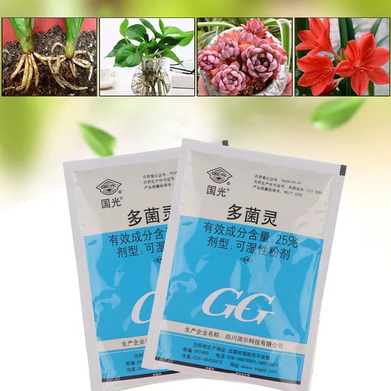 买花送的小包多菌灵你还在用吗？多菌灵怎么用效果好一些呢？