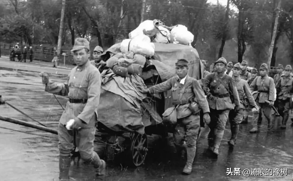 橡树 | 详说苏军1945年“八月风暴”始末