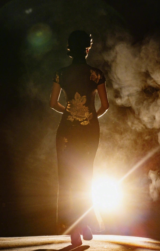 陈数主演的电视剧 陈数演过的所有电视剧-文化号