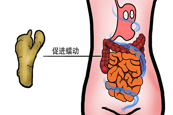 “夏吃姜”有讲究，3点要注意，想生发，用生姜擦头皮有效果吗？