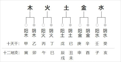 五运六气针法基础：甲子日说甲子 甲子，应胆气的生发；子藏壬癸